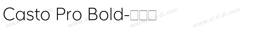 Casto Pro Bold字体转换